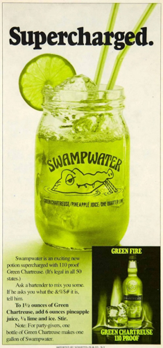 20260613-swampwater.jpg