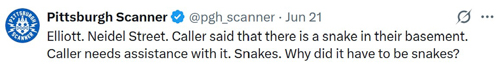 20260624-snakes.jpg