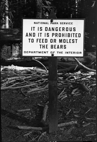 20260719-sequoia-natlpark-bear-sign-at-village.jpg