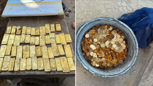 20260817-BelgiumGold.jpg