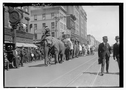 20260829-NYCParadeOn8that48th1920.jpg