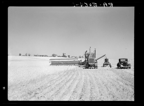 20260829-harvestingwheatRitzvilleWA1936.jpg