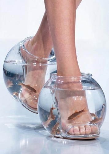 20260915-fishbowlshoes03.jpg