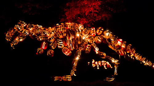 20261001-blaze-slider-1.jpg