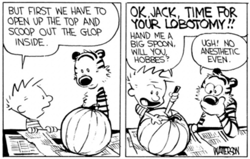20261001-calvin2.jpg