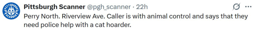 20261010-cathoarder.jpg