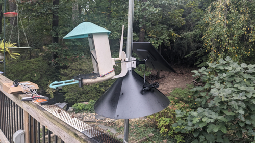 20261010-feeder.jpg