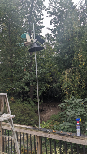 20261010-feeder2.jpg