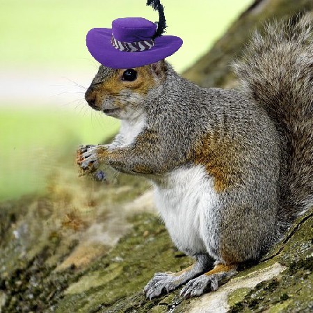 241124-ClosingSquirrel2.jpg