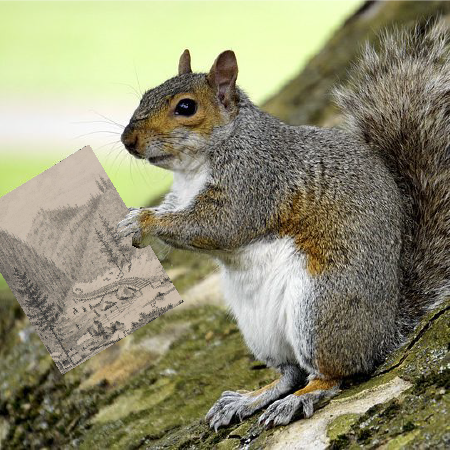 250209-ClosingSquirrel.png