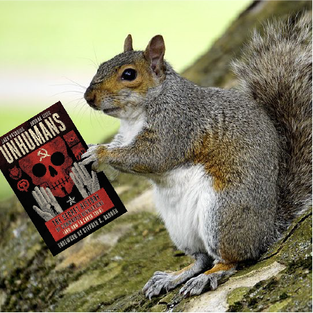 250525-ClosingSquirrel.png