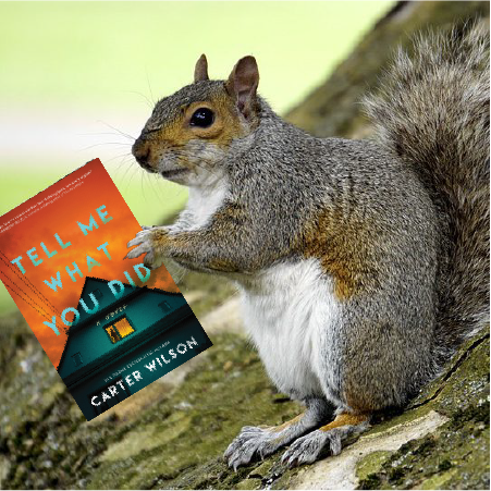 250615-ClosingSquirrel.png