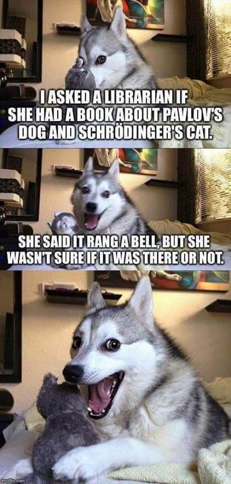 250629-Joke.jpg