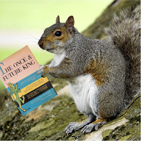 250713-ClosingSquirrel.png