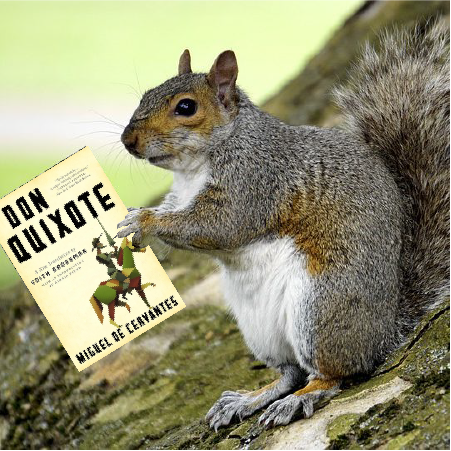 250720-ClosingSquirrel.png