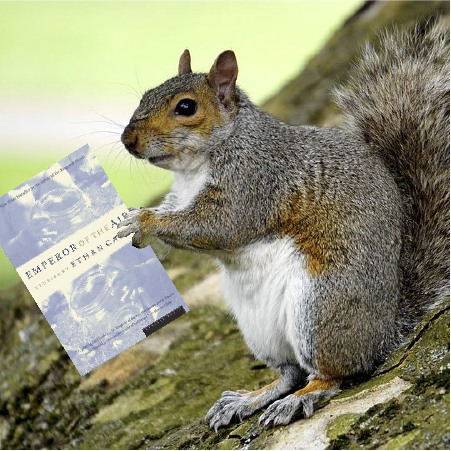 250803-ClosingSquirrel.png
