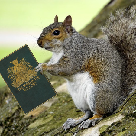 251130-ClosingSquirrel.png
