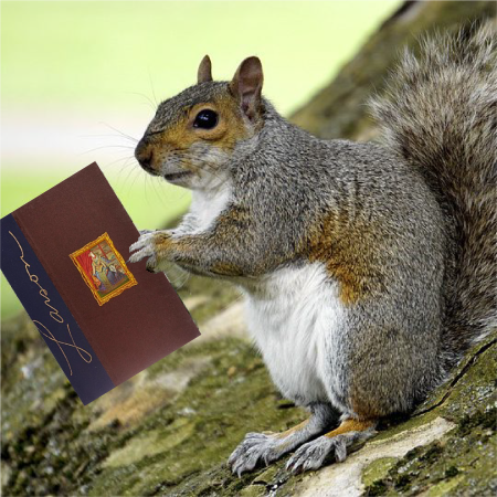 260503-ClosingSquirrel.png