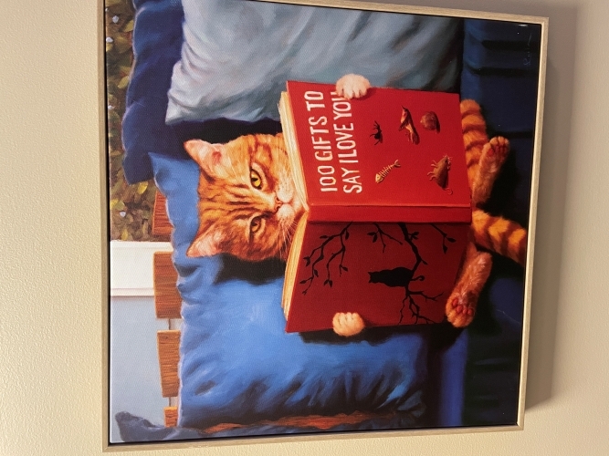 260503-Joke.JPG