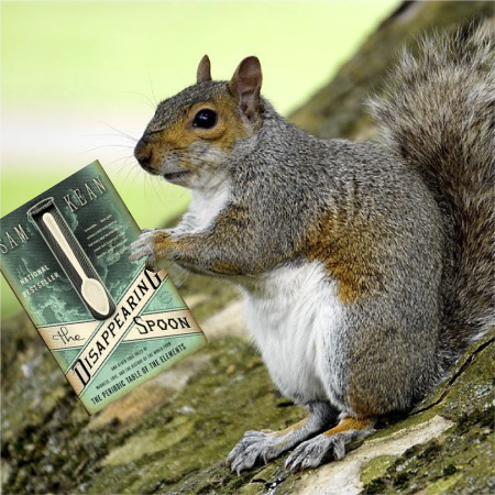 260517-ClosingSquirrel.png