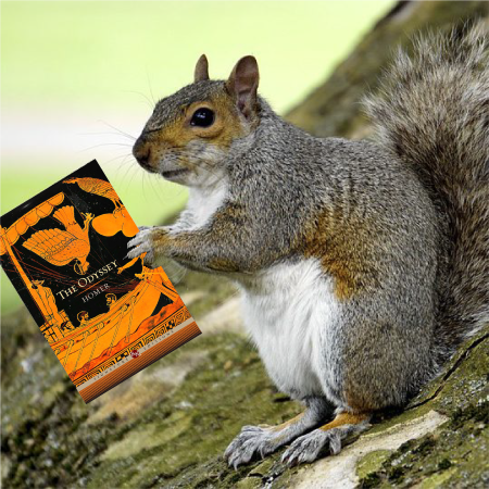 260726-ClosingSquirrel.png
