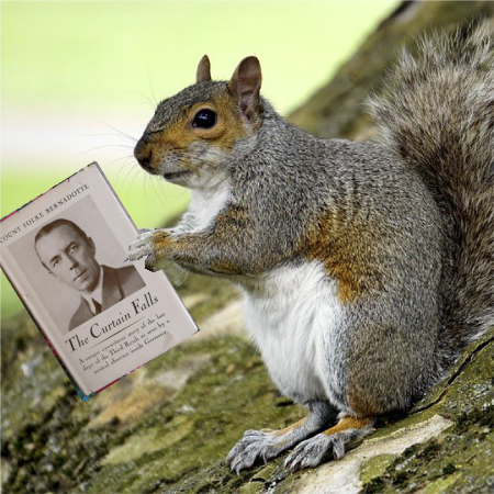260809-ClosingSquirrel.png