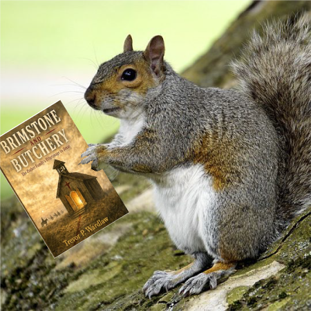 260823-ClosingSquirrel.png