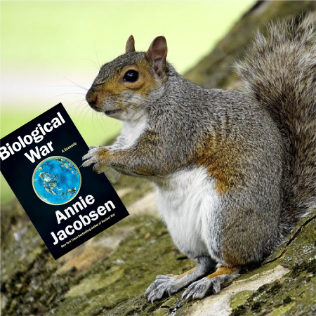 260906-ClosingSquirrel.png