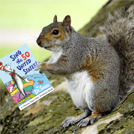 260920-ClosingSquirrel.png