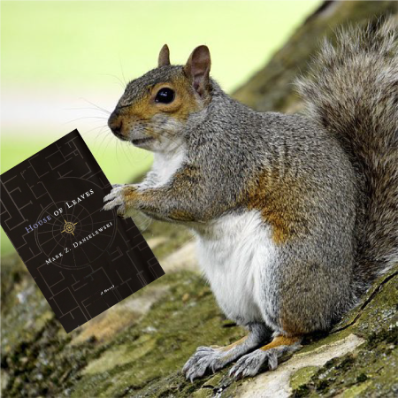 261004-ClosingSquirrel.png