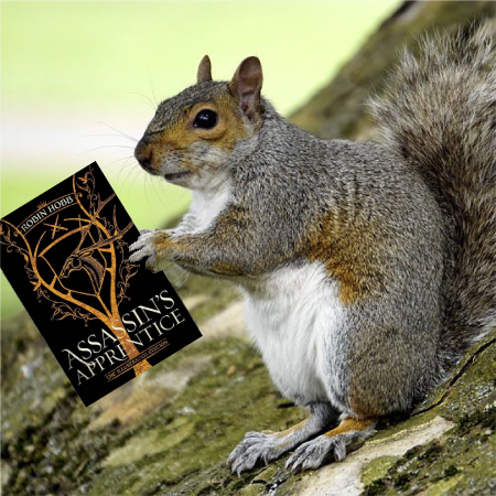 261018-ClosingSquirrel.png
