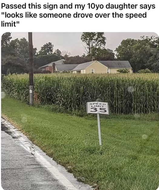 367423219_10223260131392914_7360264402037269334_n.jpg