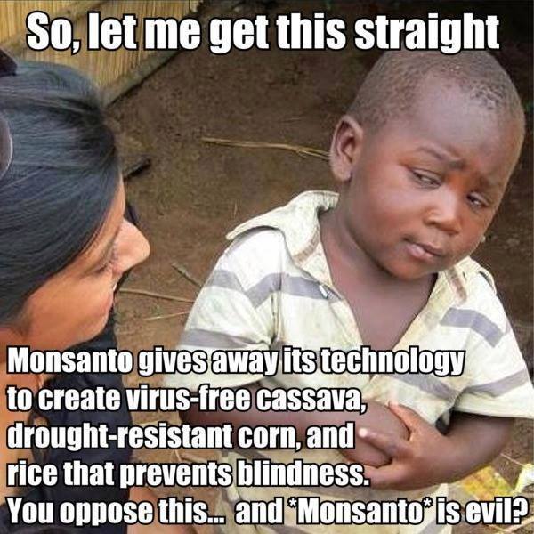 600x600xmonsanto-is-evil.jpg.pagespeed.ic.1gCohOkvYY.jpg