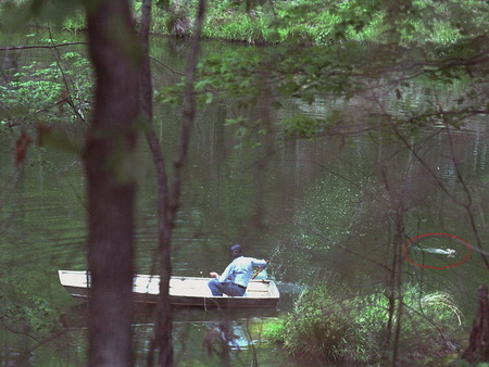 798px-Jimmy_Carter_in_boat_chasing_away_swimming_rabbit,_Plains,_Georgia_-_19790420.jpg