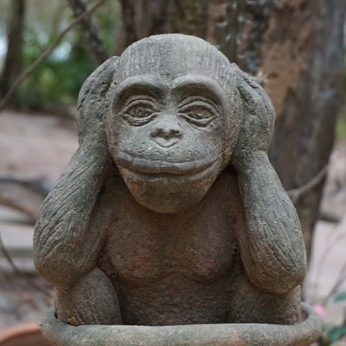 9232026-monkey.jpg