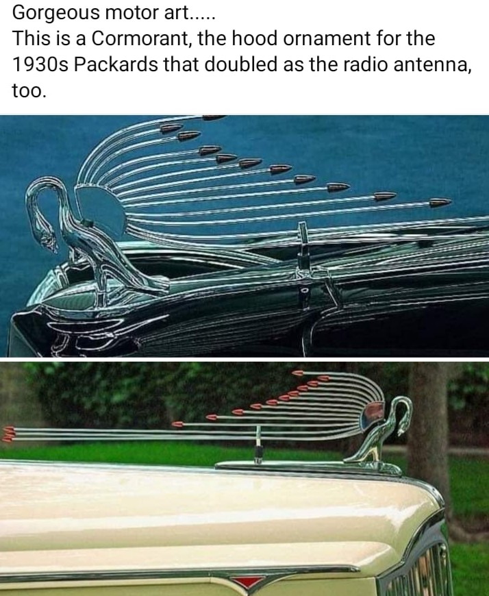 Antenna.jpg