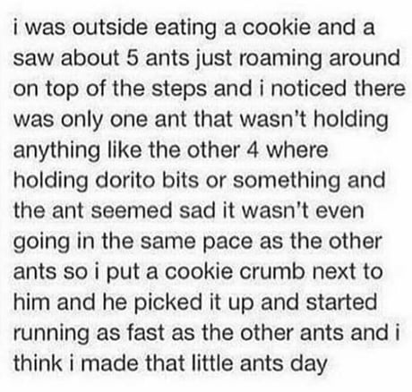 Ants.jpg