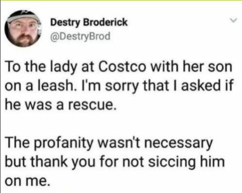 Apology-to-the-lady-at-Costco.png
