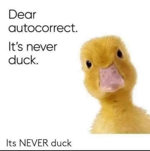 April112026duck.jpg