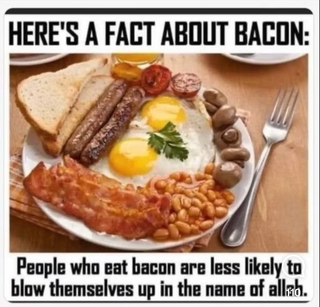 BaconPolitics.jpg