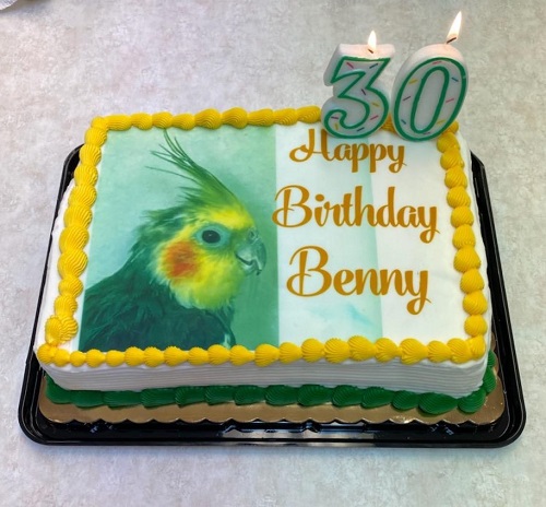 BennyBirthday.jpg