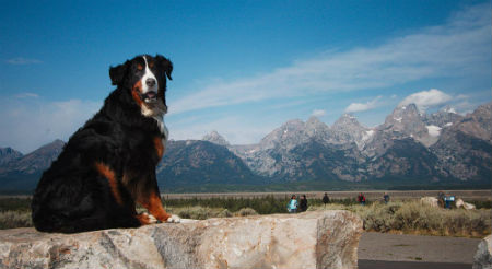 Beorn-JacksonHole.jpg