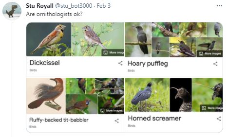 Birds - Ornithologists - Are Ornithologists OK.JPG