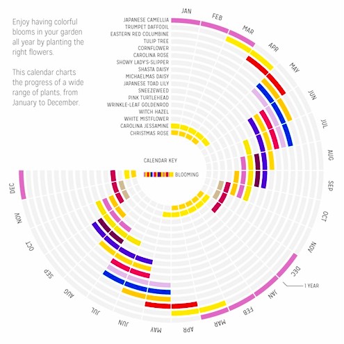 BloomColorCalendar.jpg