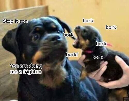 Bork.jpg