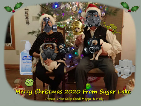 BriansChristmasCard2020.jpg