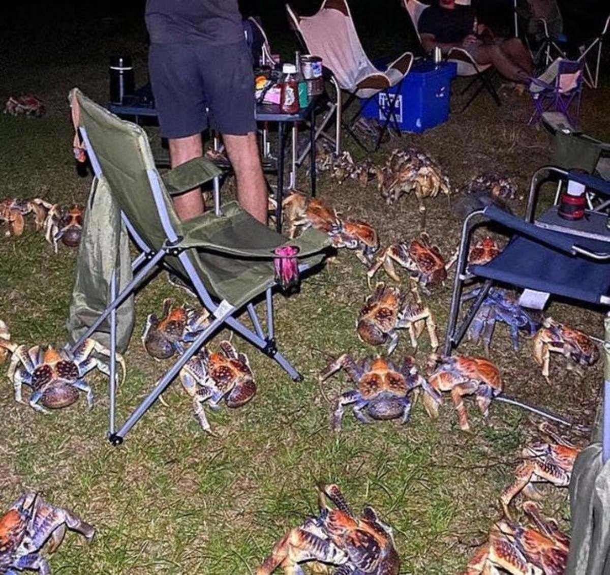 Camping.jpg