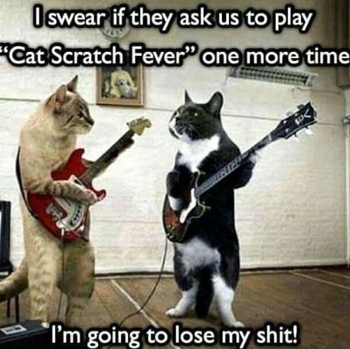 Cat-Scratch-Fever.jpg