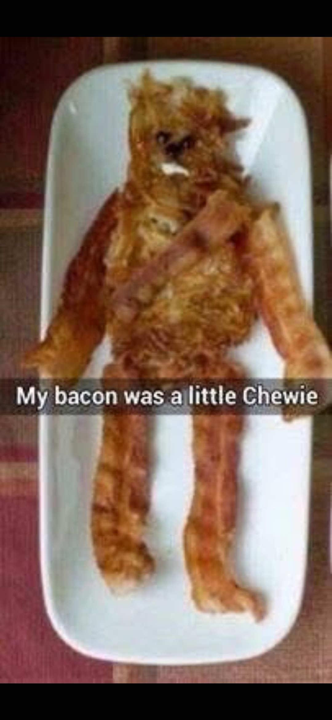 Chewie2026.jpg