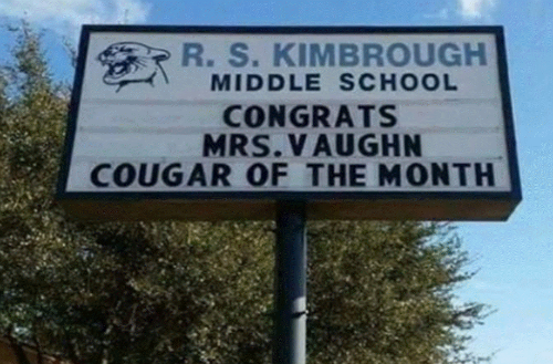 Cougar-of-the-Month.png